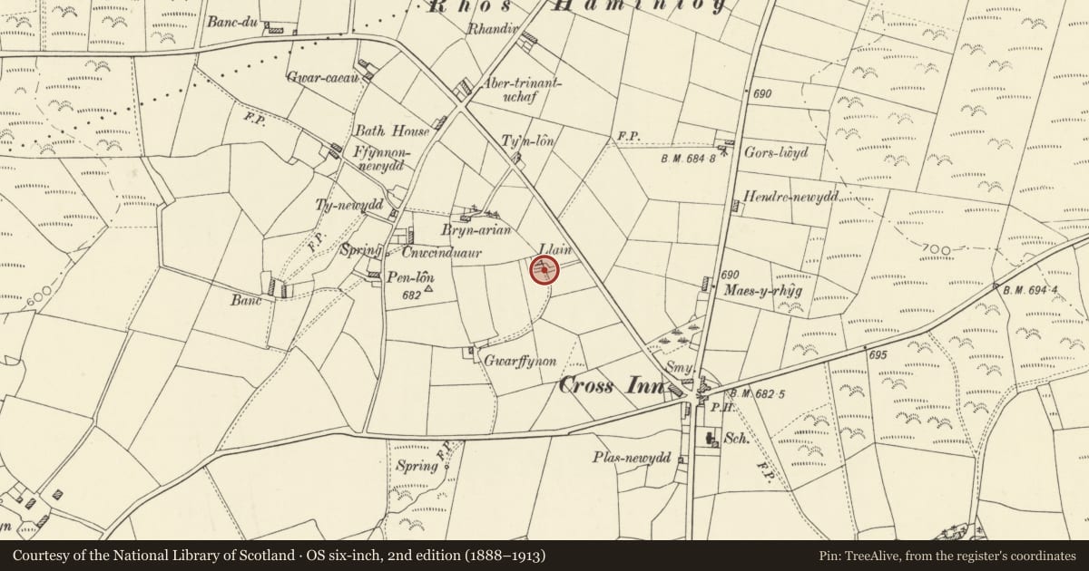 Ordnance Survey six-inch map, 2nd edition (1888–1913) covering the location of Outbuilding on W side of yard at Llain, Dyffryn Arth, Ceredigion, with a pin at the register's coordinates
