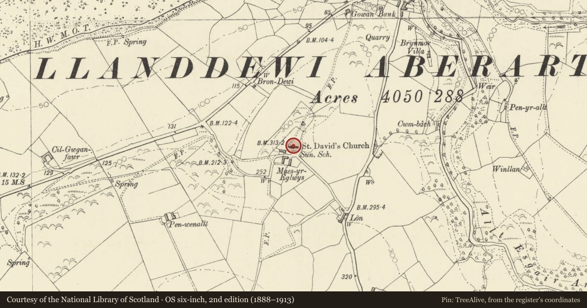 Ordnance Survey six-inch map, 2nd edition (1888–1913) covering the location of Church of St David, Dyffryn Arth, Ceredigion, with a pin at the register's coordinates