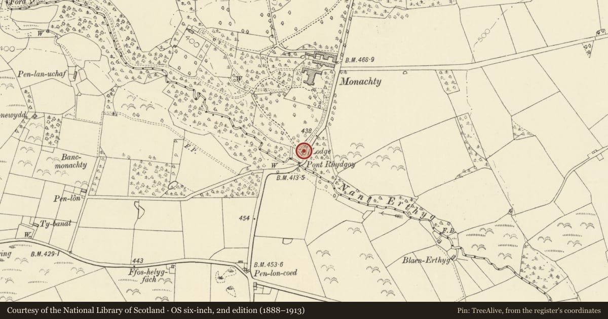 Ordnance Survey six-inch map, 2nd edition (1888–1913) covering the location of South Lodge, Dyffryn Arth, Ceredigion, with a pin at the register's coordinates