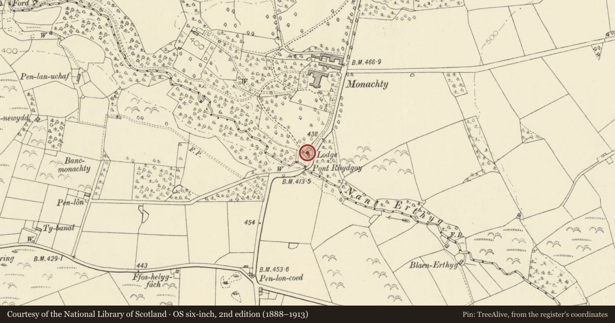 Ordnance Survey six-inch map, 2nd edition (1888–1913) covering the location of Gates and Railings at South Lodge, Dyffryn Arth, Ceredigion, with a pin at the register's coordinates