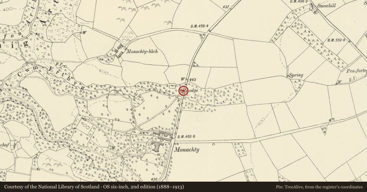 Ordnance Survey six-inch map, 2nd edition (1888–1913) covering the location of Gates and Railings at North Lodge, Dyffryn Arth, Ceredigion, with a pin at the register's coordinates