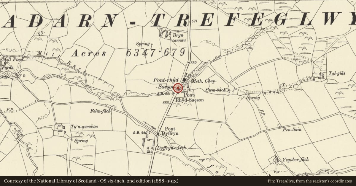 Ordnance Survey six-inch map, 2nd edition (1888–1913) covering the location of Pont Rhydsaeson, Dyffryn Arth, Ceredigion, with a pin at the register's coordinates