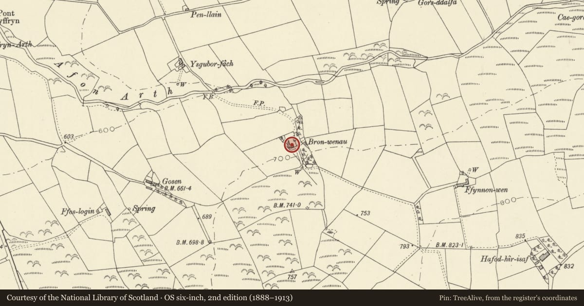 Ordnance Survey six-inch map, 2nd edition (1888–1913) covering the location of Bronwenau, Dyffryn Arth, Ceredigion, with a pin at the register's coordinates