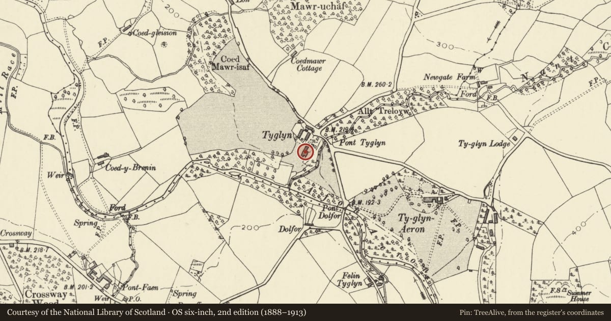 Ordnance Survey six-inch map, 2nd edition (1888–1913) covering the location of Ty Glyn including attached wings to main gable ends, Dyffryn Arth, Ceredigion, with a pin at the register's coordinates