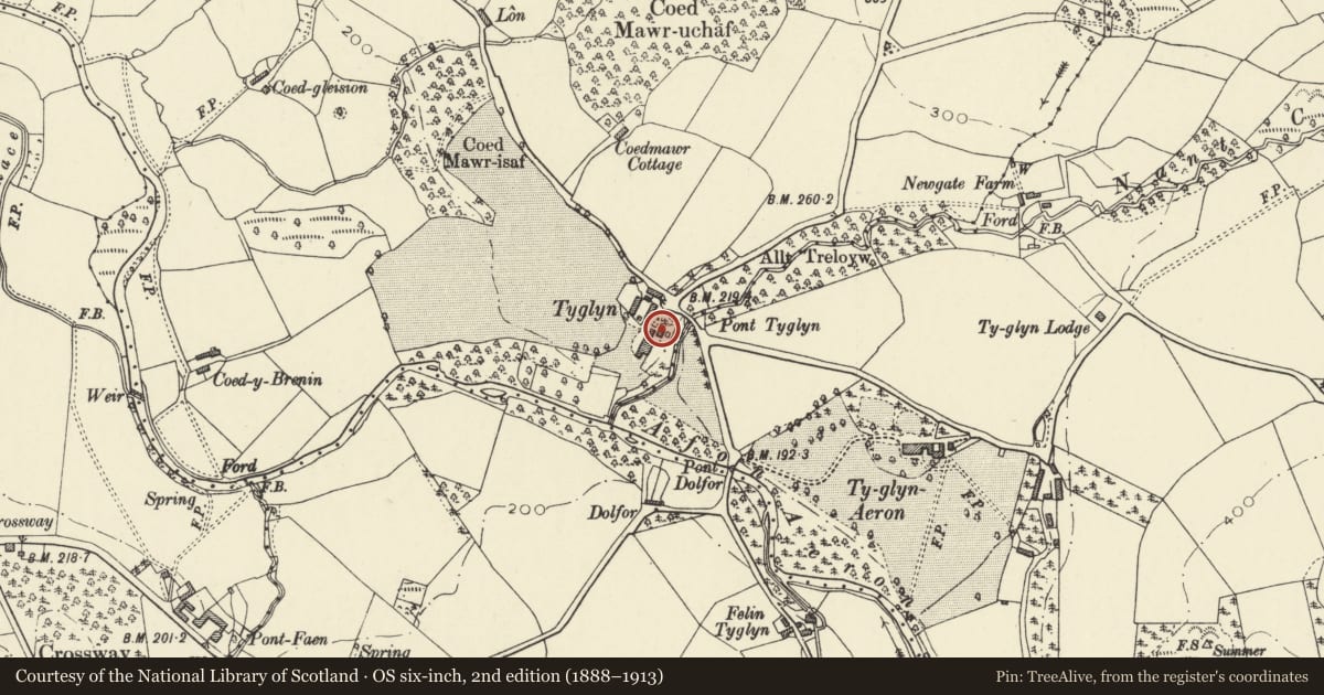 Ordnance Survey six-inch map, 2nd edition (1888–1913) covering the location of Brewhouse to NE of Ty Glyn, Dyffryn Arth, Ceredigion, with a pin at the register's coordinates