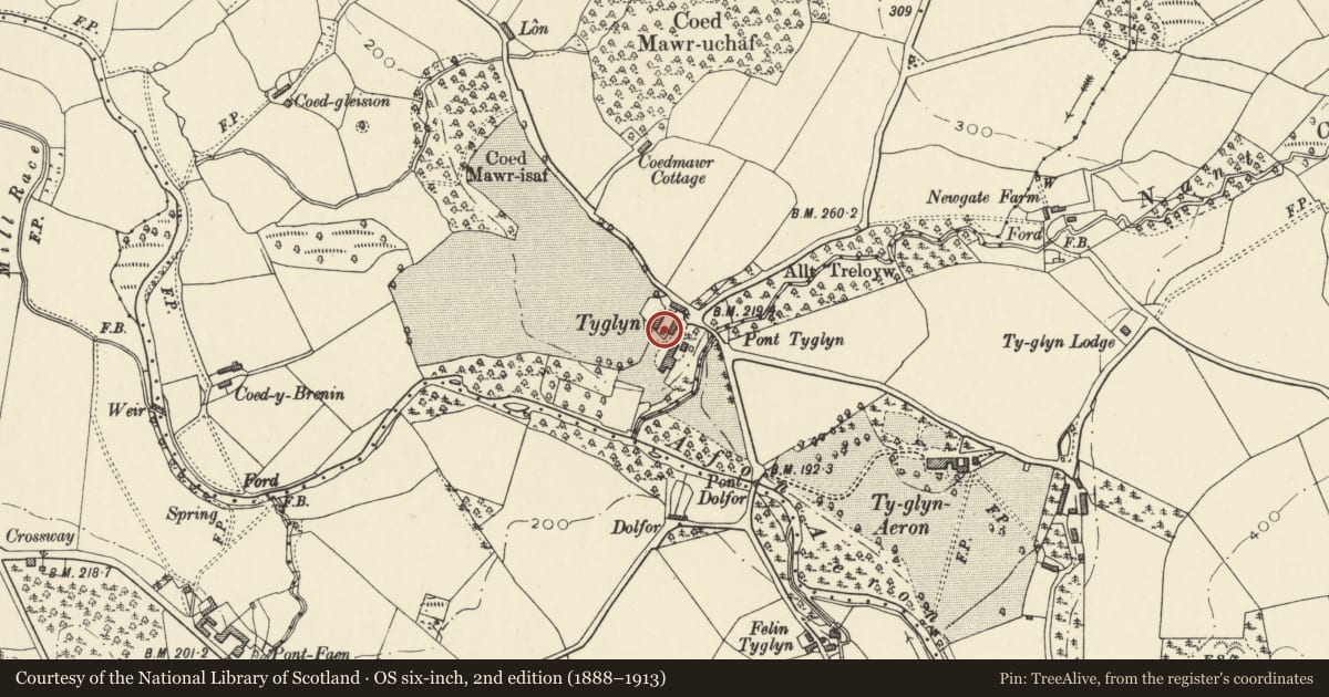 Ordnance Survey six-inch map, 2nd edition (1888–1913) covering the location of Granary at S end of farmyard at Ty Glyn, Dyffryn Arth, Ceredigion, with a pin at the register's coordinates