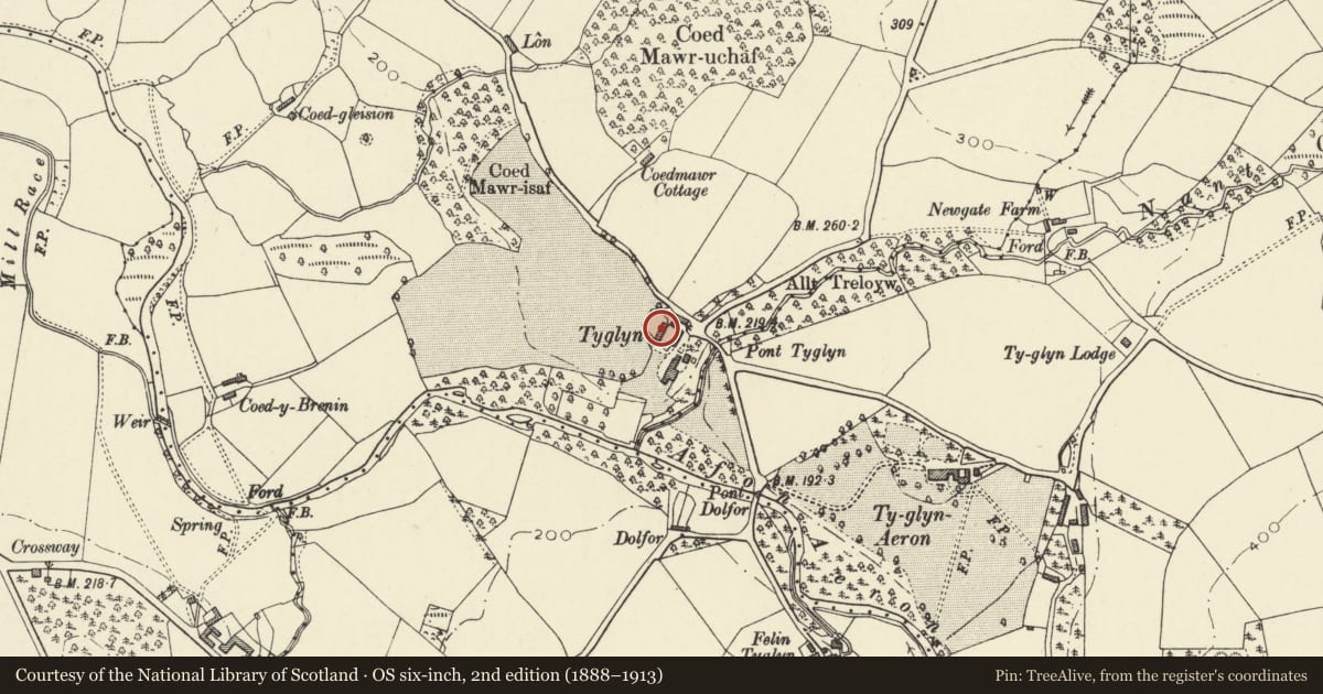 Ordnance Survey six-inch map, 2nd edition (1888–1913) covering the location of Barn range an W side of farmyard at Ty Glyn, Dyffryn Arth, Ceredigion, with a pin at the register's coordinates