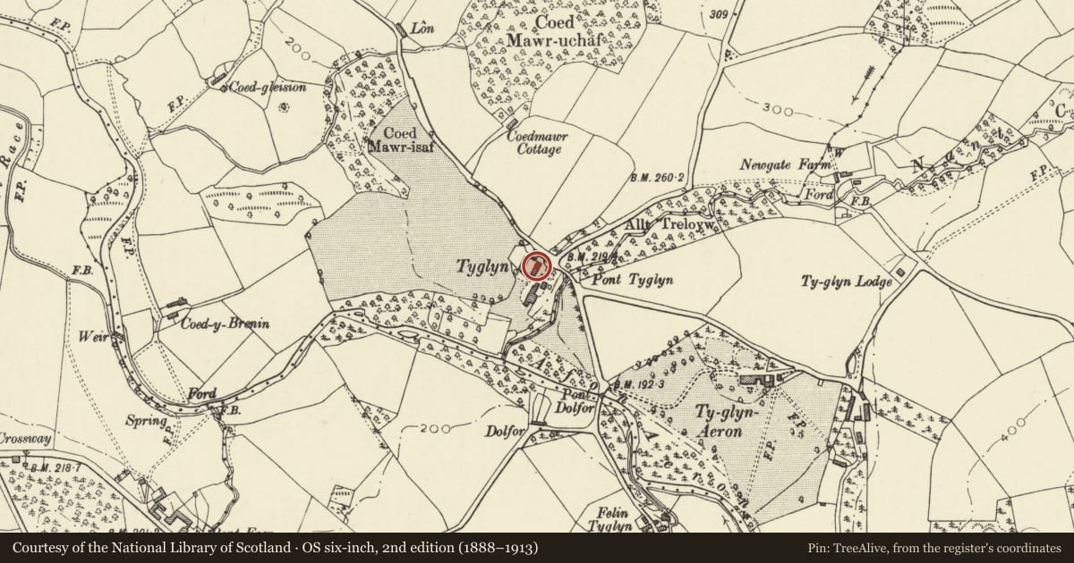 Ordnance Survey six-inch map, 2nd edition (1888–1913) covering the location of Stable range on E side of farm yard at Ty Glyn, Dyffryn Arth, Ceredigion, with a pin at the register's coordinates