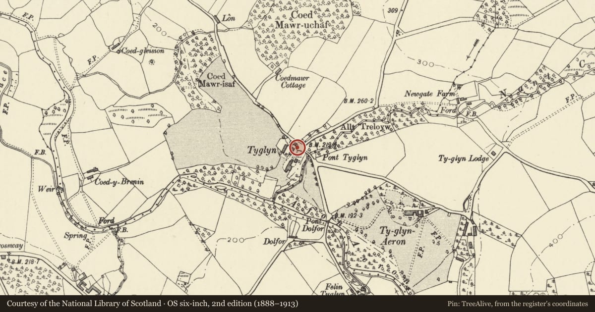 Ordnance Survey six-inch map, 2nd edition (1888–1913) covering the location of Gates and railings to driveway at Ty Glyn, Dyffryn Arth, Ceredigion, with a pin at the register's coordinates