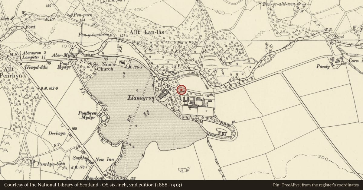 Ordnance Survey six-inch map, 2nd edition (1888–1913) covering the location of One set of Gatepiers and Gates to drive SE of Llanerchaeron(Previously listed as sited at Llanaeron), Ciliau Aeron, Ceredigion, with a pin at the register's coordinates