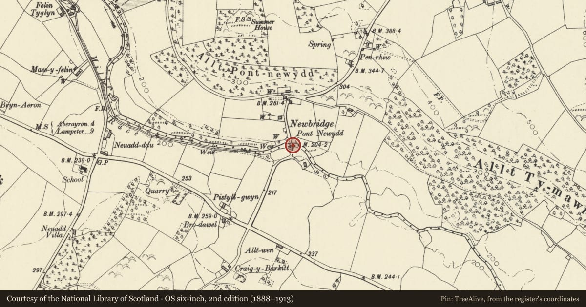 Ordnance Survey six-inch map, 2nd edition (1888–1913) covering the location of Pont Newydd, Ciliau Aeron, Ceredigion, with a pin at the register's coordinates