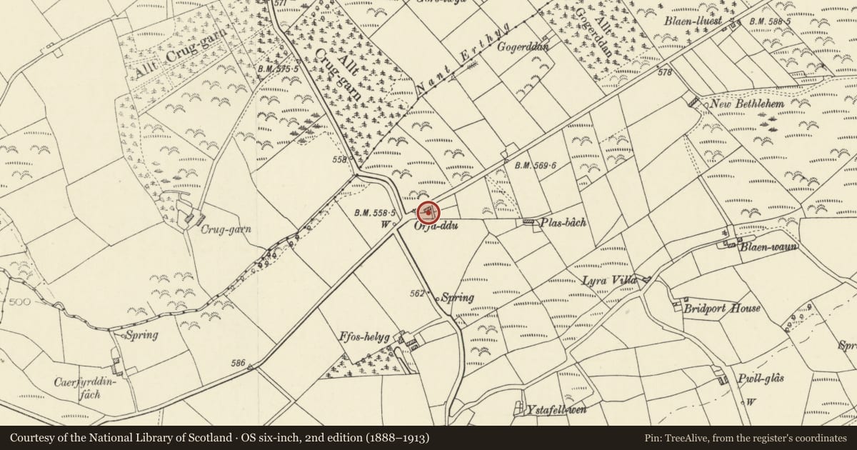 Ordnance Survey six-inch map, 2nd edition (1888–1913) covering the location of Orfa-ddu, Ciliau Aeron, Ceredigion, with a pin at the register's coordinates