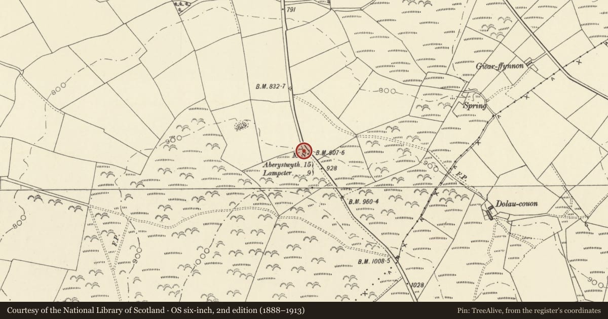 Ordnance Survey six-inch map, 2nd edition (1888–1913) covering the location of Milestone near Rhiwlas Uchaf, Ciliau Aeron, Ceredigion, with a pin at the register's coordinates