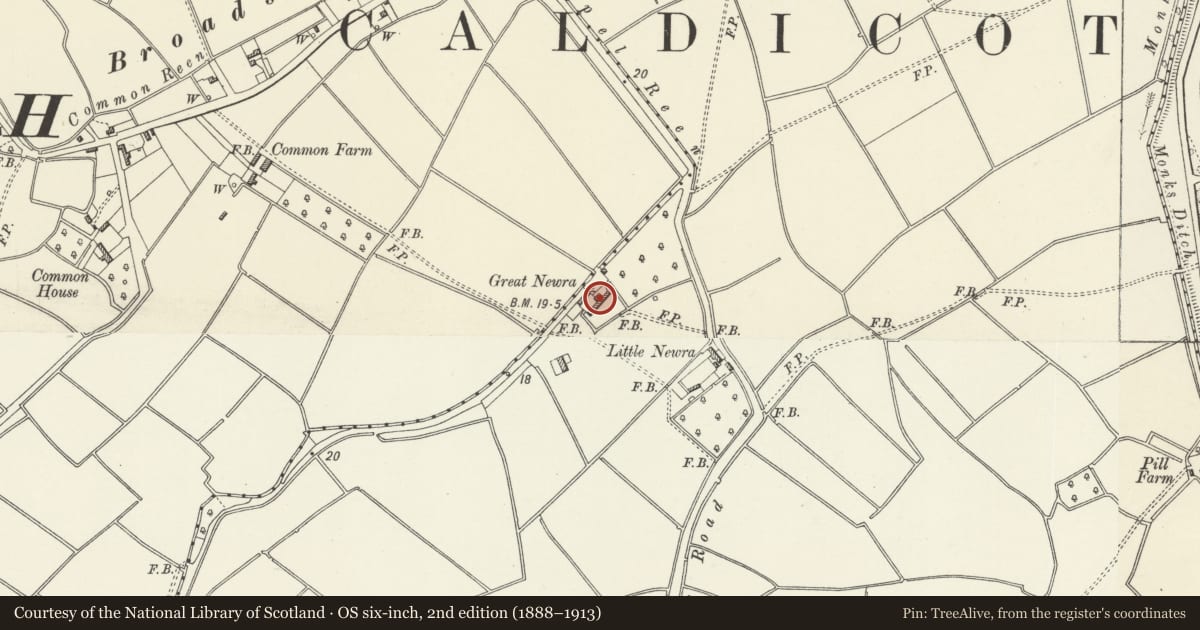 Ordnance Survey six-inch map, 2nd edition (1888–1913) covering the location of Great Newra, Goldcliff, Newport, with a pin at the register's coordinates