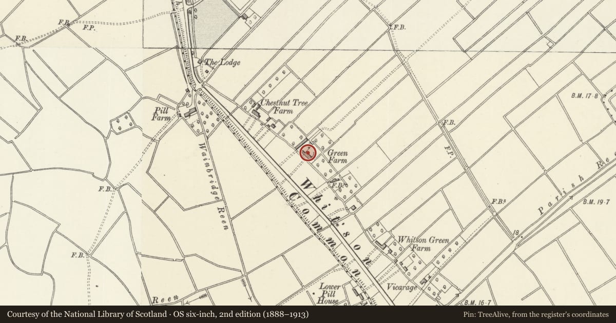 Ordnance Survey six-inch map, 2nd edition (1888–1913) covering the location of Whitson Farm, Goldcliff, Newport, with a pin at the register's coordinates