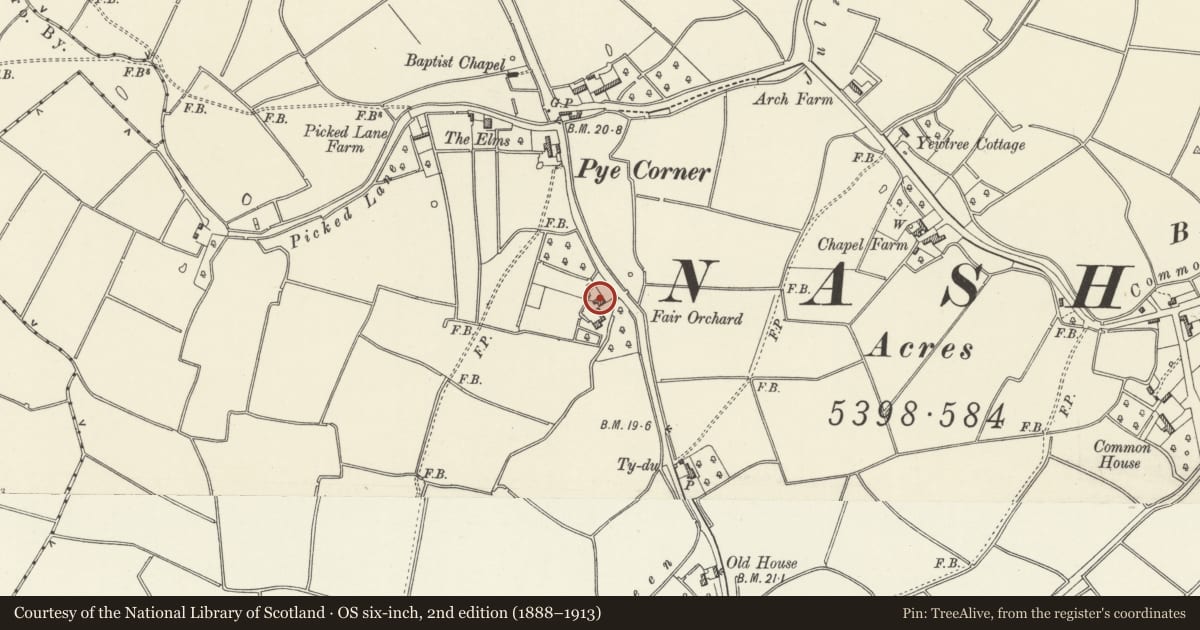 Ordnance Survey six-inch map, 2nd edition (1888–1913) covering the location of Fair Orchard, Nash, Newport, with a pin at the register's coordinates