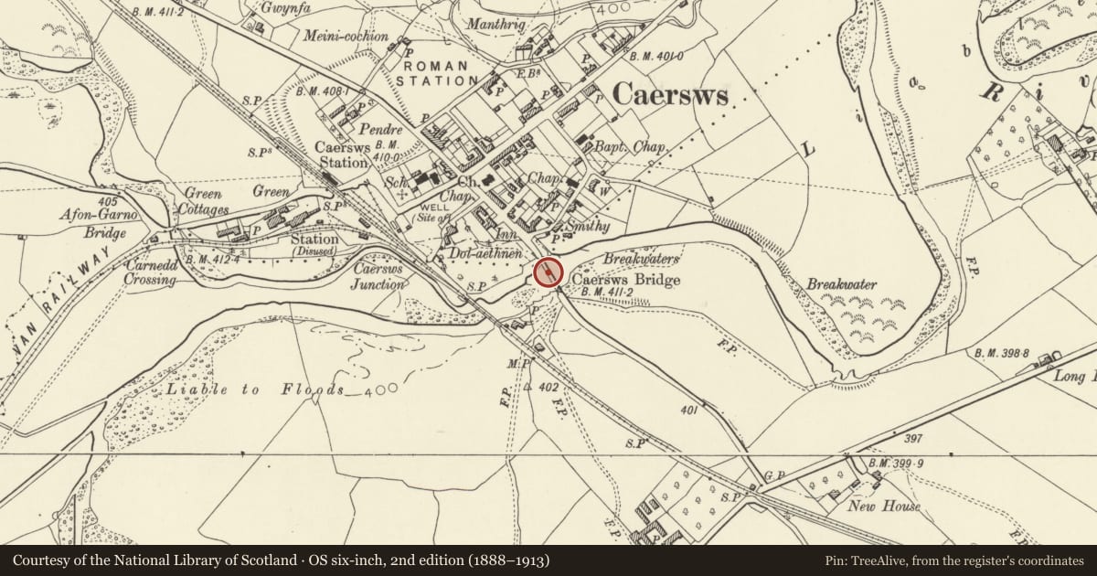 Ordnance Survey six-inch map, 2nd edition (1888–1913) covering the location of Caersws bridge, Powys, with a pin at the register's coordinates