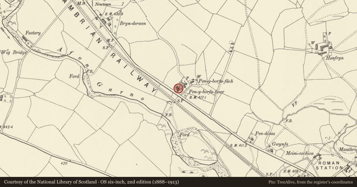 Ordnance Survey six-inch map, 2nd edition (1888–1913) covering the location of Pen-y-borfa fawr, Caersws, Powys, with a pin at the register's coordinates