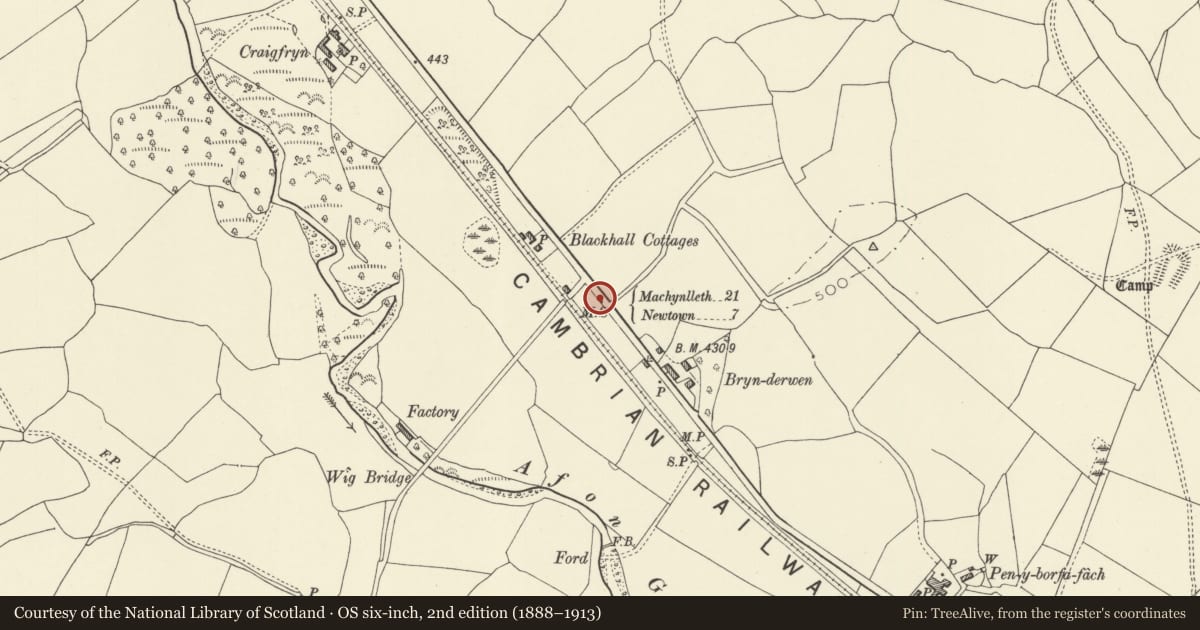 Ordnance Survey six-inch map, 2nd edition (1888–1913) covering the location of Milestone S of Weig Lane, Caersws, Powys, with a pin at the register's coordinates