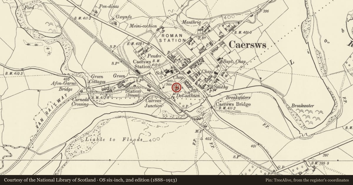Ordnance Survey six-inch map, 2nd edition (1888–1913) covering the location of Dol-aethnen, Caersws, Powys, with a pin at the register's coordinates