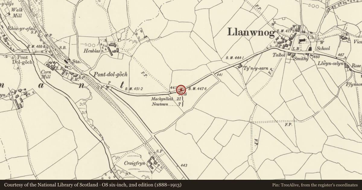 Ordnance Survey six-inch map, 2nd edition (1888–1913) covering the location of Milestone W of village, Caersws, Powys, with a pin at the register's coordinates