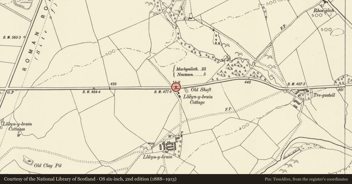 Ordnance Survey six-inch map, 2nd edition (1888–1913) covering the location of Milestone outside Aelbryn, Caersws, Powys, with a pin at the register's coordinates