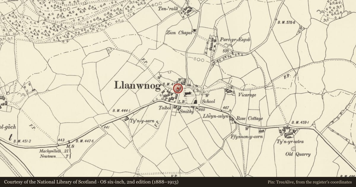Ordnance Survey six-inch map, 2nd edition (1888–1913) covering the location of Gwyneira with attached farm buildings, Caersws, Powys, with a pin at the register's coordinates