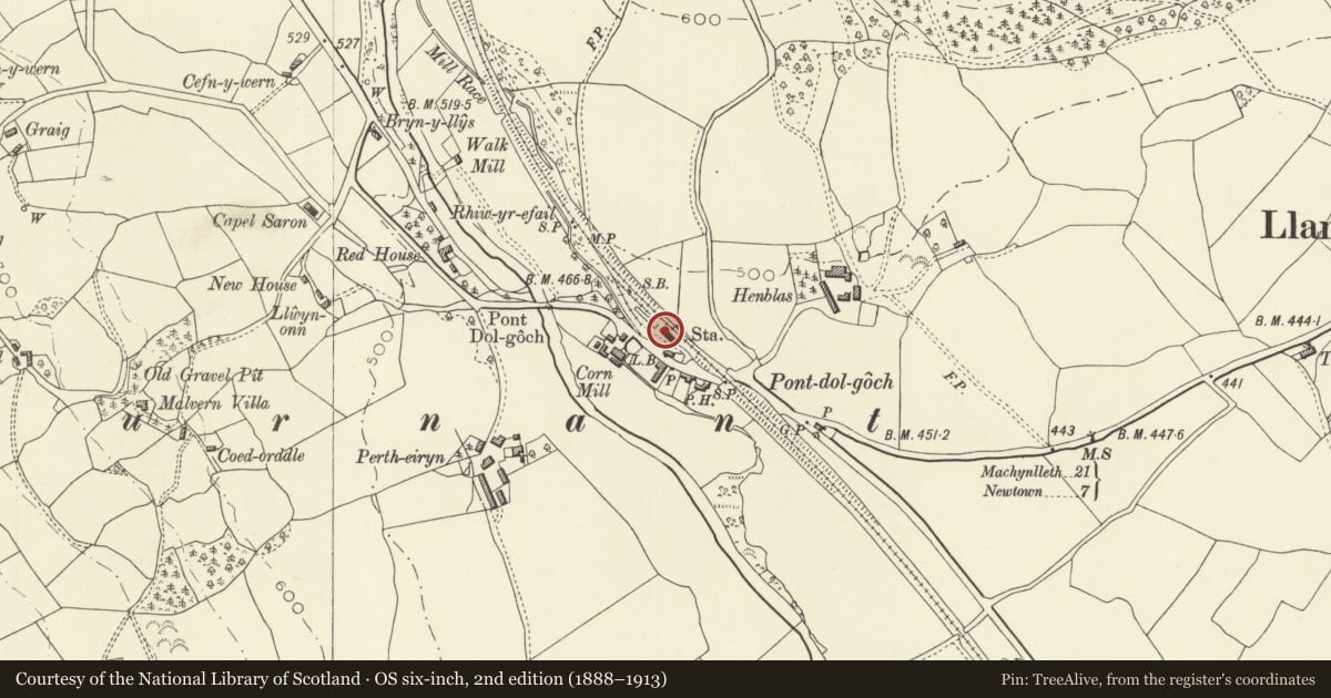Ordnance Survey six-inch map, 2nd edition (1888–1913) covering the location of Pont-dol-goch Station and Stationmaster's House, Caersws, Powys, with a pin at the register's coordinates