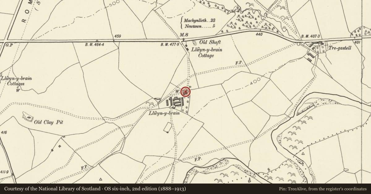 Ordnance Survey six-inch map, 2nd edition (1888–1913) covering the location of Llwyn-y-brain, Caersws, Powys, with a pin at the register's coordinates
