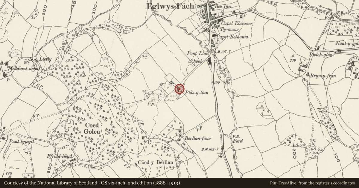 Ordnance Survey six-inch map, 2nd edition (1888–1913) covering the location of Stable Range at Plas-yn-Llan including adjoining Carthouse complex, Eglwysbach, Conwy, with a pin at the register's coordinates