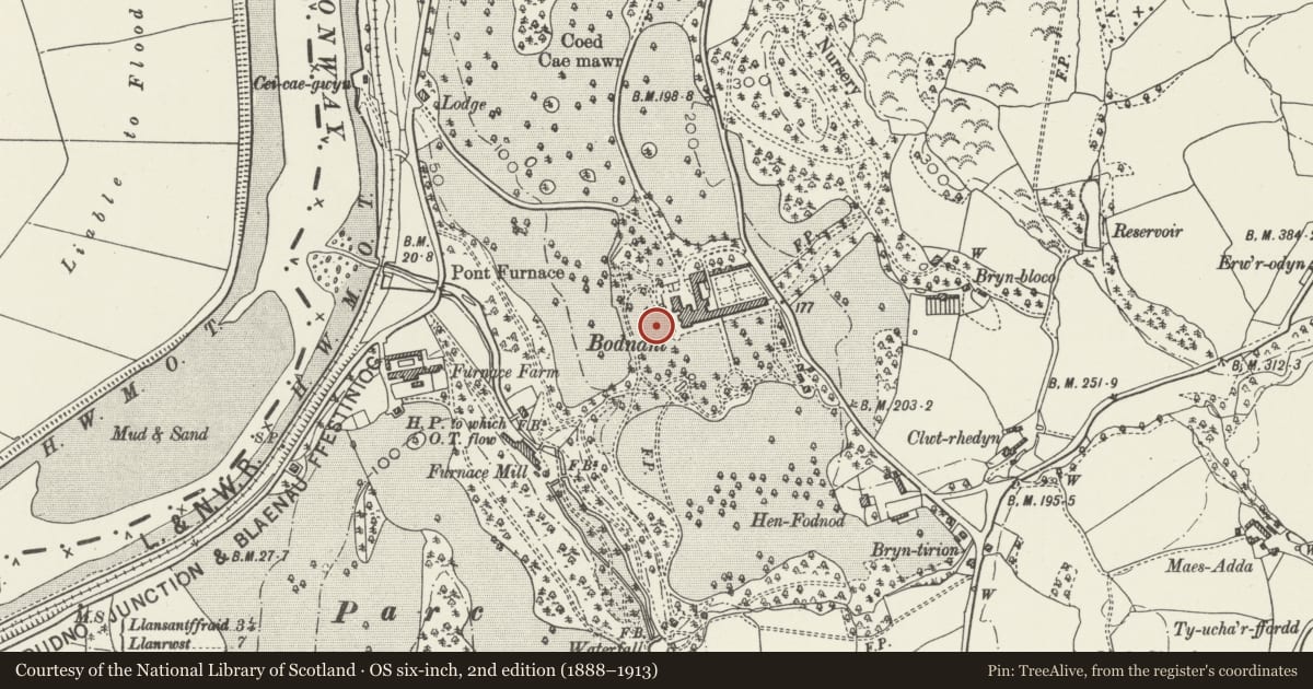 Ordnance Survey six-inch map, 2nd edition (1888–1913) covering the location of Walls and Steps retaining Upper (house) Terrace and retaining Walls and Steps to Rose Terrace, Eglwysbach, Conwy, with a pin at the register's coordinates