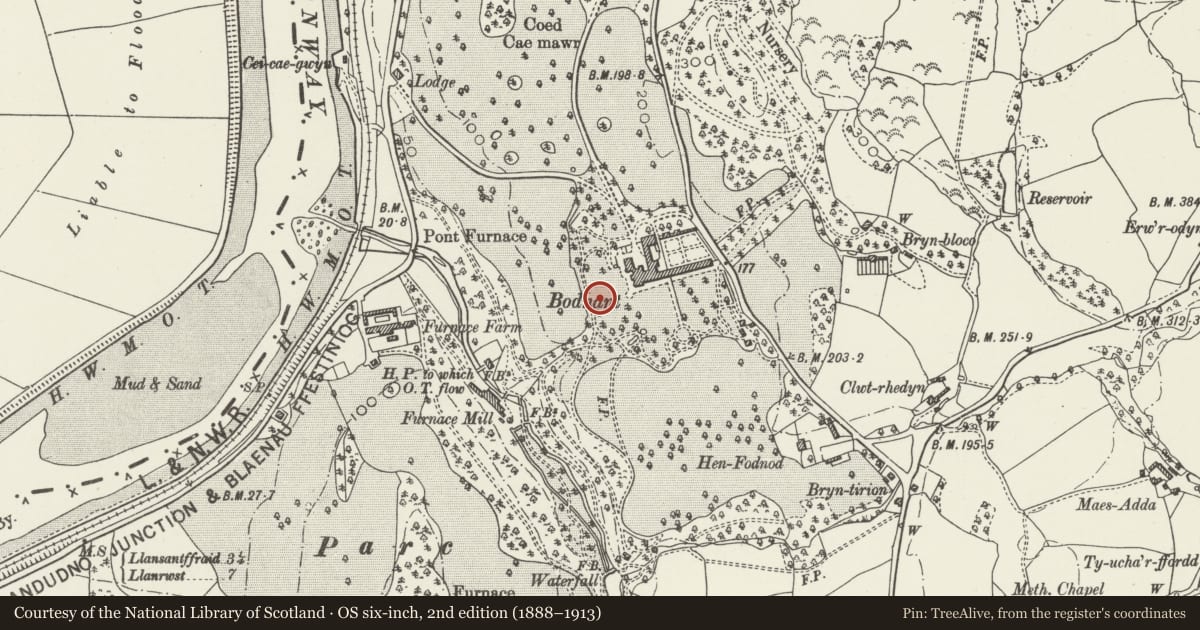 Ordnance Survey six-inch map, 2nd edition (1888–1913) covering the location of Walls and Steps retaining Croquet Terrace, with Enclosing Walls and Arches N and S of Lily Terrace, Eglwysbach, Conwy, with a pin at the register's coordinates