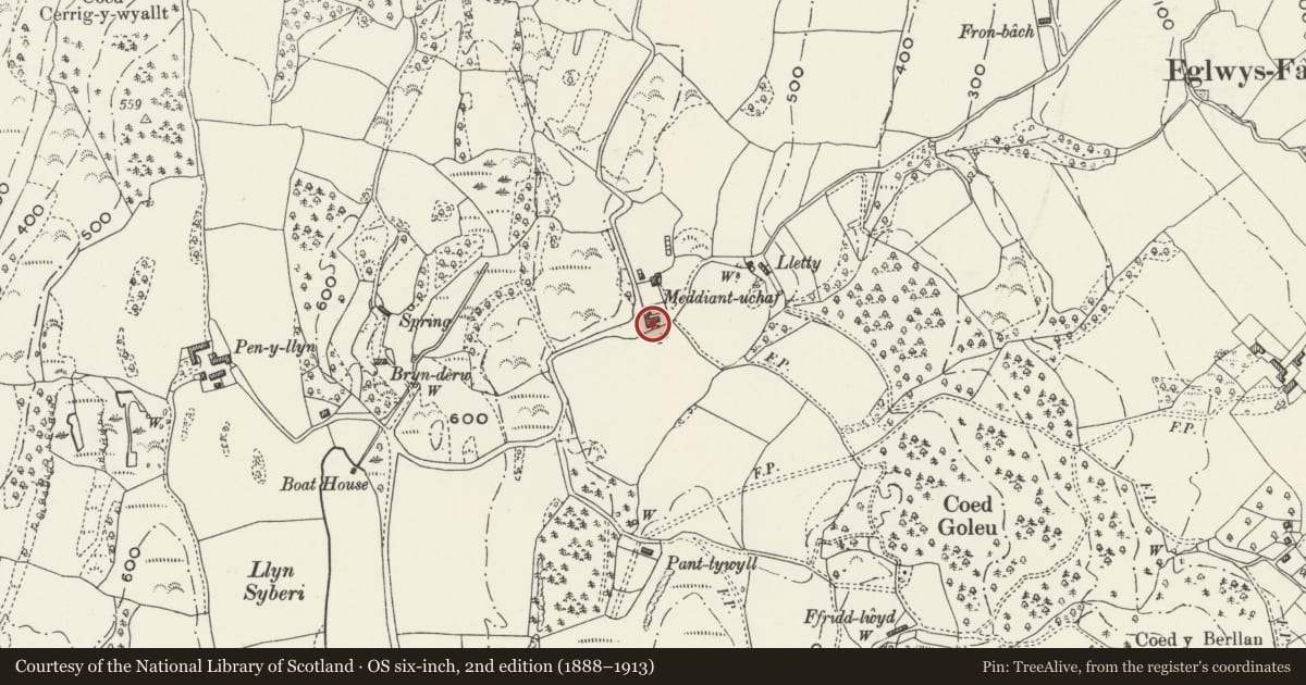 Ordnance Survey six-inch map, 2nd edition (1888–1913) covering the location of Barn at Meddiant Uchaf including adjoining L-shaped Stable and Cart Block, Eglwysbach, Conwy, with a pin at the register's coordinates