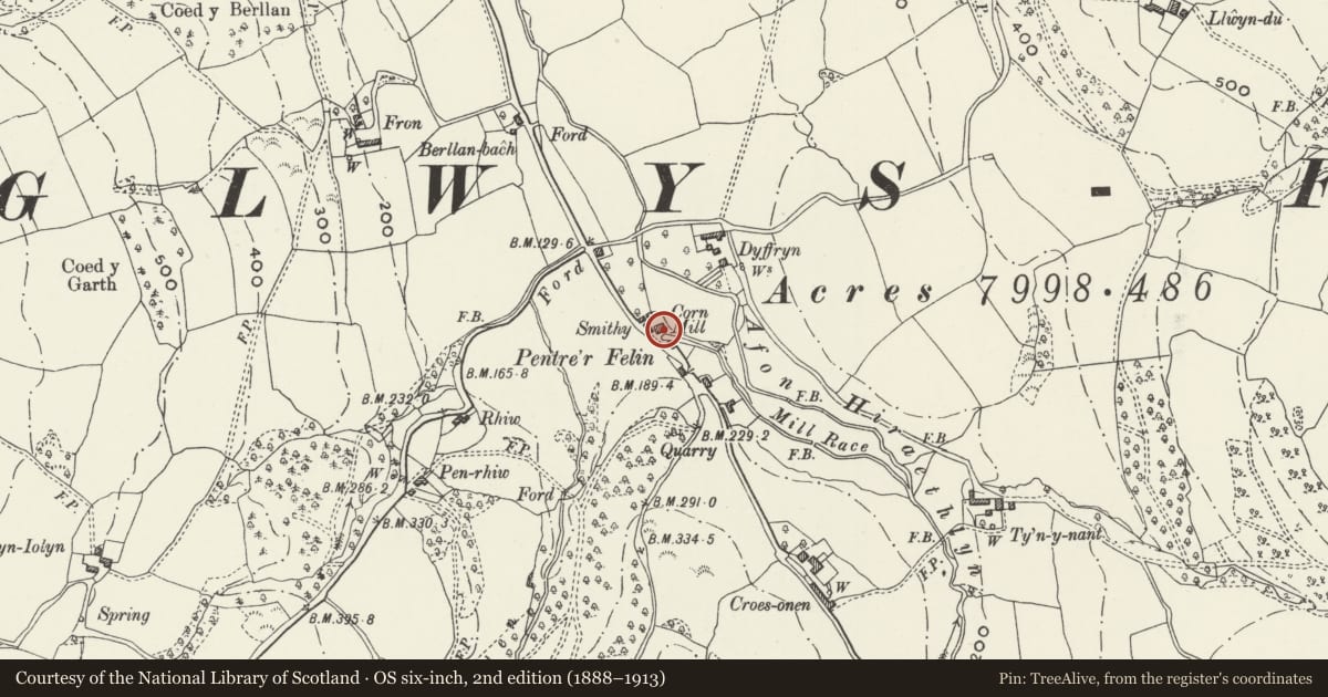 Ordnance Survey six-inch map, 2nd edition (1888–1913) covering the location of Pentrefelin and Bwthyn-y-felin, Eglwysbach, Conwy, with a pin at the register's coordinates