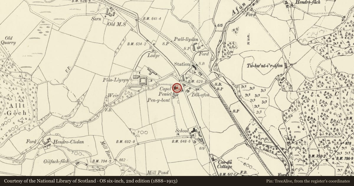 Ordnance Survey six-inch map, 2nd edition (1888–1913) covering the location of Capel Peniel, Carno, Powys, with a pin at the register's coordinates