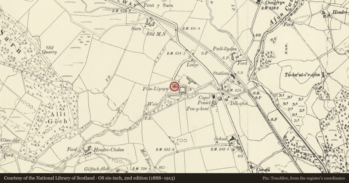 Ordnance Survey six-inch map, 2nd edition (1888–1913) covering the location of Plas Llysyn, Carno, Powys, with a pin at the register's coordinates