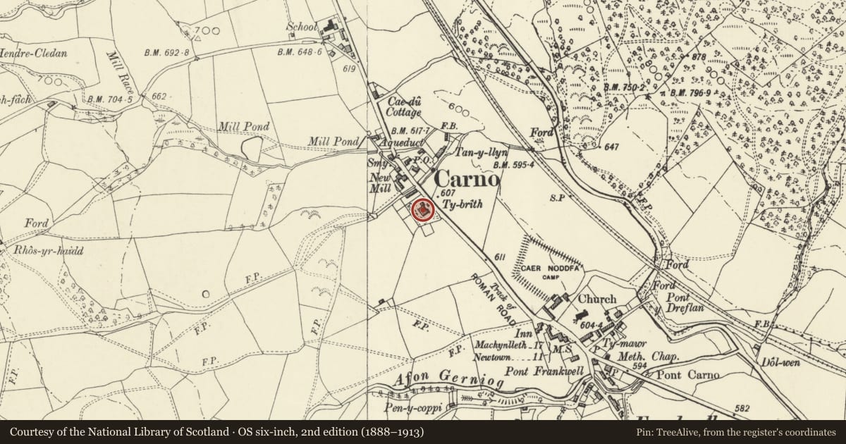 Ordnance Survey six-inch map, 2nd edition (1888–1913) covering the location of Ty Brith, Carno, Powys, with a pin at the register's coordinates