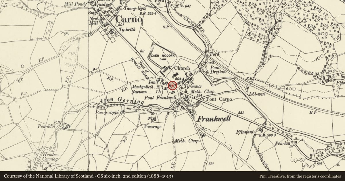 Ordnance Survey six-inch map, 2nd edition (1888–1913) covering the location of Milestone, Carno, Powys, with a pin at the register's coordinates