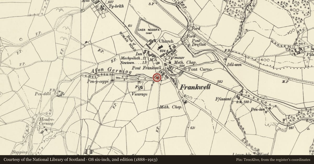 Ordnance Survey six-inch map, 2nd edition (1888–1913) covering the location of Tegfan, Carno, Powys, with a pin at the register's coordinates