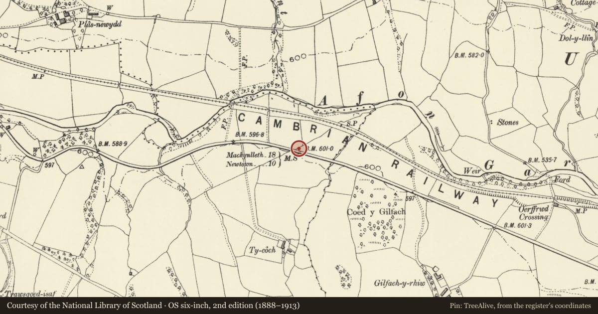 Ordnance Survey six-inch map, 2nd edition (1888–1913) covering the location of Milestone, Carno, Powys, with a pin at the register's coordinates
