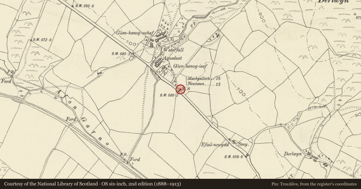 Ordnance Survey six-inch map, 2nd edition (1888–1913) covering the location of Milestone, Carno, Powys, with a pin at the register's coordinates