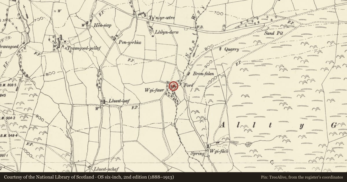 Ordnance Survey six-inch map, 2nd edition (1888–1913) covering the location of Wgi Fawr, Carno, Powys, with a pin at the register's coordinates