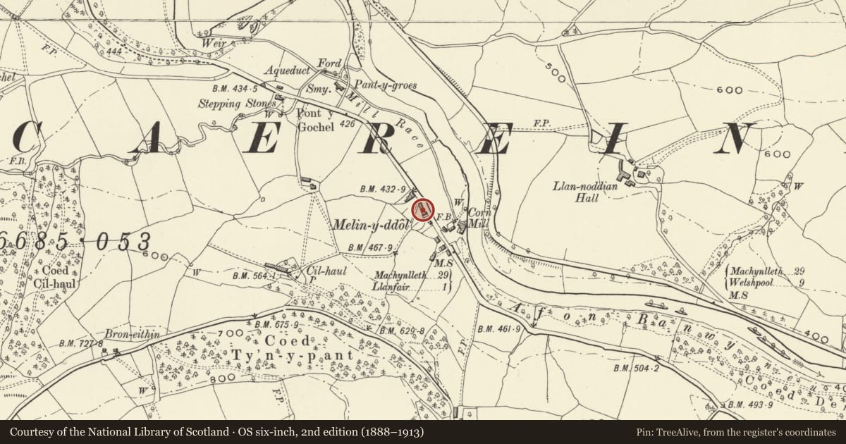 Ordnance Survey six-inch map, 2nd edition (1888–1913) covering the location of Cottages at Melin-y-Ddol adjoining Ty Gwyn to the South, Llanfair Caereinion, Powys, with a pin at the register's coordinates