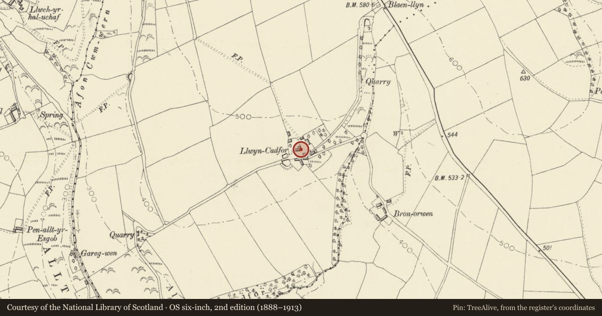 Ordnance Survey six-inch map, 2nd edition (1888–1913) covering the location of Cowshed range at Llwyn-Cadfor, Llandyfriog, Ceredigion, with a pin at the register's coordinates
