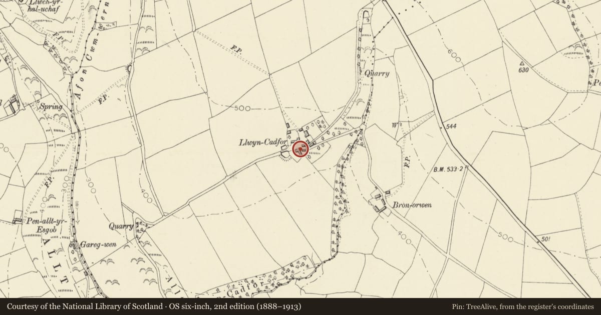 Ordnance Survey six-inch map, 2nd edition (1888–1913) covering the location of Barn range at Llwyn-Cadfor, Llandyfriog, Ceredigion, with a pin at the register's coordinates