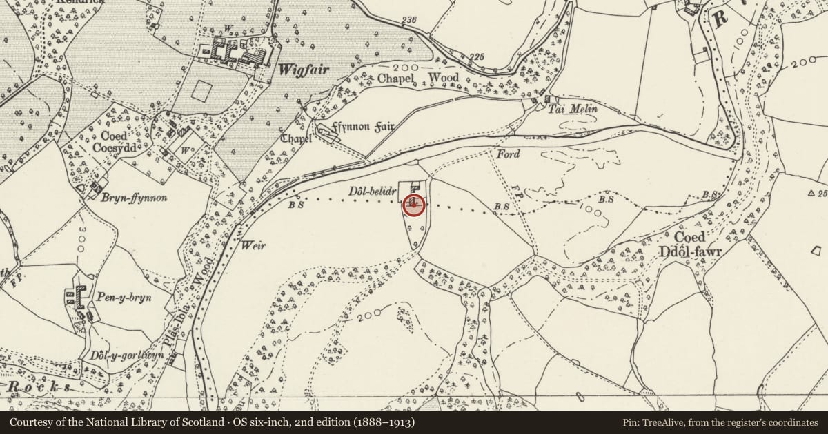 Ordnance Survey six-inch map, 2nd edition (1888–1913) covering the location of Dolbelidr, Cefnmeiriadog, Denbighshire, with a pin at the register's coordinates