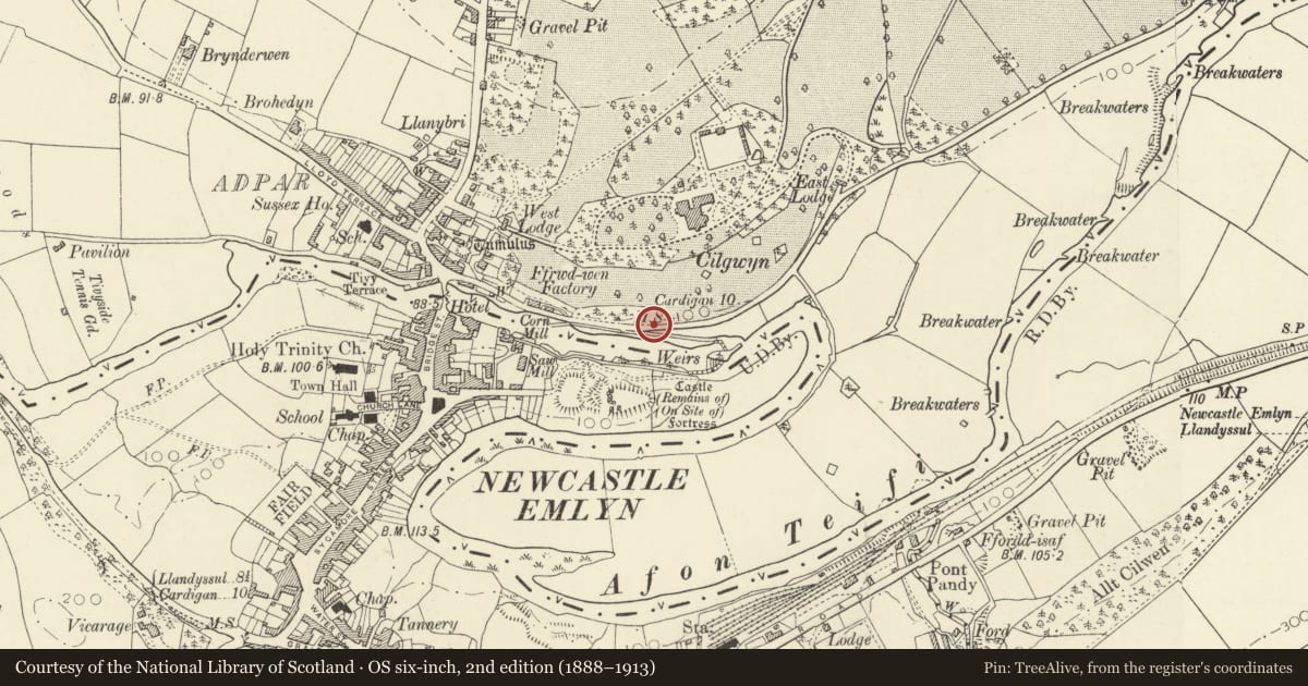 Ordnance Survey six-inch map, 2nd edition (1888–1913) covering the location of Milestone near Adpar, Llandyfriog, Ceredigion, with a pin at the register's coordinates