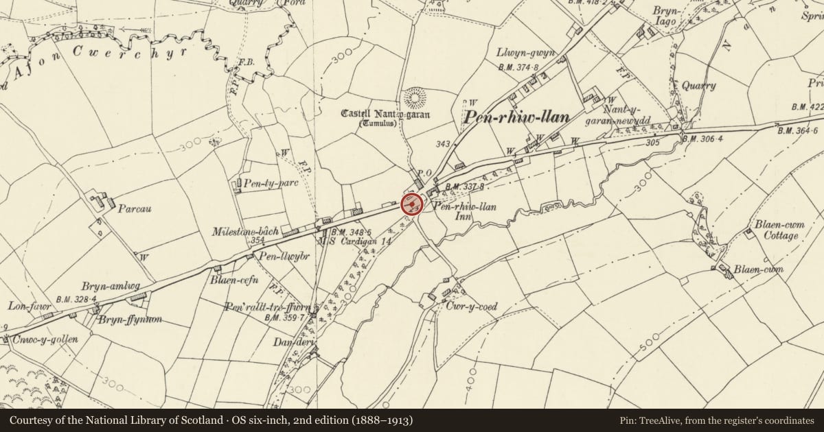 Ordnance Survey six-inch map, 2nd edition (1888–1913) covering the location of Maesllan, Llandyfriog, Ceredigion, with a pin at the register's coordinates
