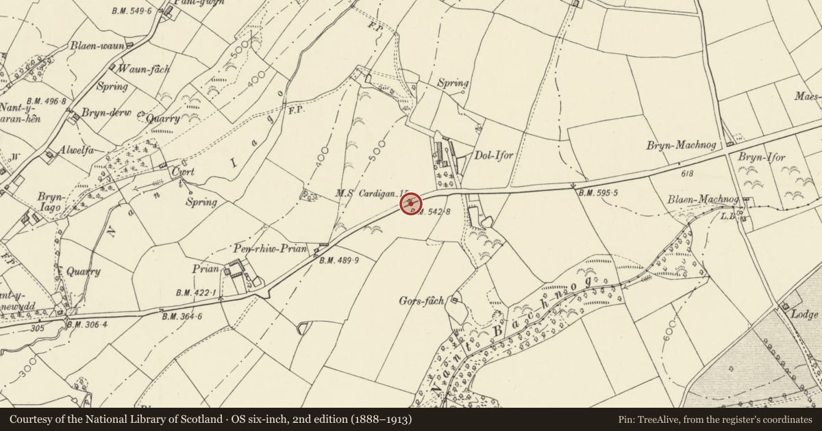 Ordnance Survey six-inch map, 2nd edition (1888–1913) covering the location of Milestone near Dolifor, Llandyfriog, Ceredigion, with a pin at the register's coordinates