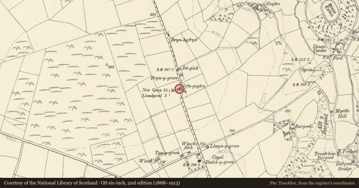 Ordnance Survey six-inch map, 2nd edition (1888–1913) covering the location of Milepost on A486, Troedyraur, Ceredigion, with a pin at the register's coordinates